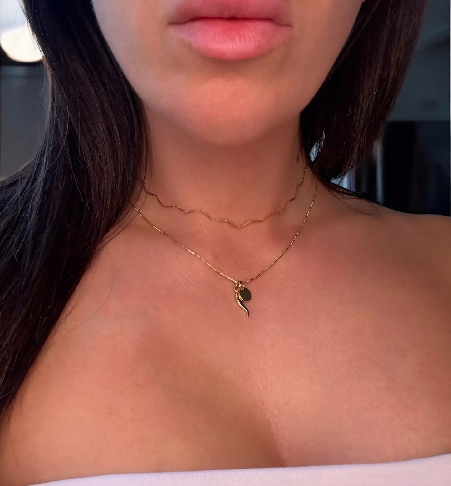 A close-up image of a person wearing a gold-filled chain choker necklace with a zigzag design layered with a Italian Horn and disc pendant in gold on a fine chain